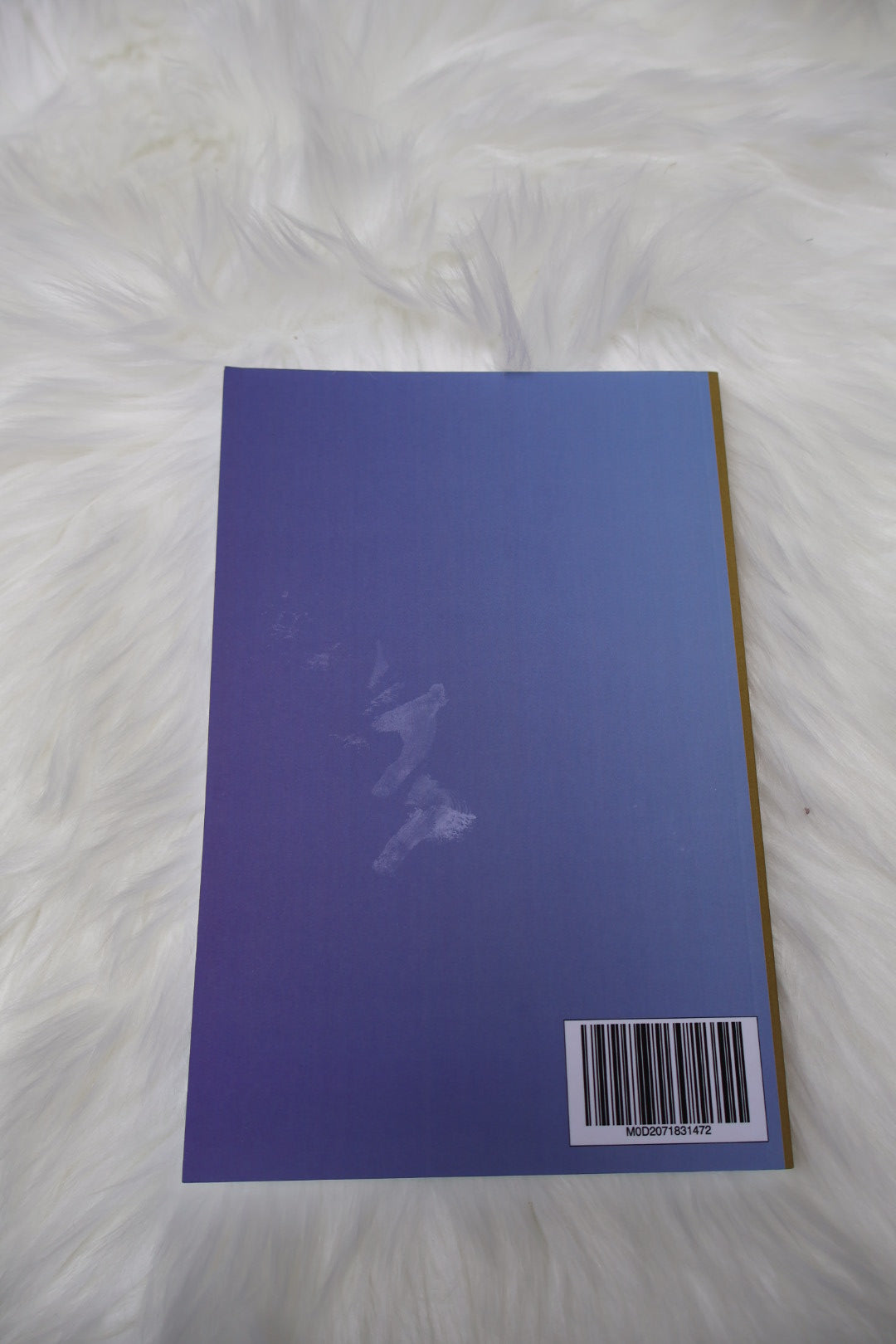 SALE: Quirky Skull Notebook - grid pages (matte covers)