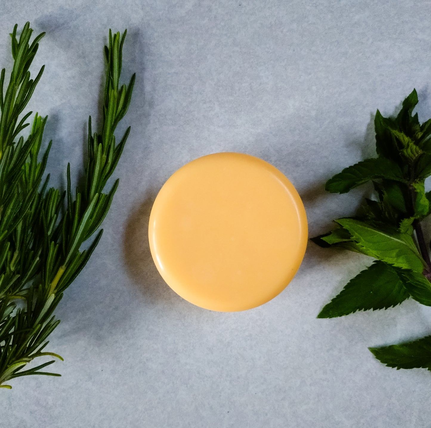 Lanolin enriched soap, photographed surrounded by fresh herbs and foliage.
Spuggy Designs Lanolin soap bars have fresh, natural scents - created using natural essential oils.