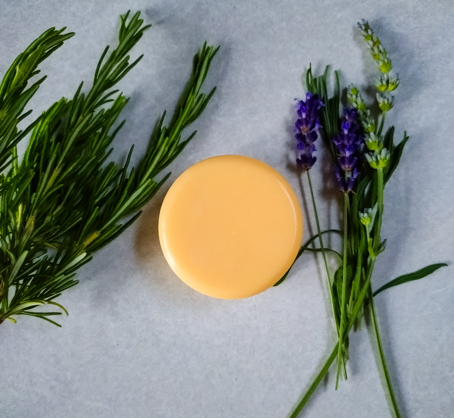 Lanolin enriched soap, photographed surrounded by fresh herbs and foliage.
Spuggy Designs Lanolin soap bars have fresh, natural scents - created using natural essential oils.