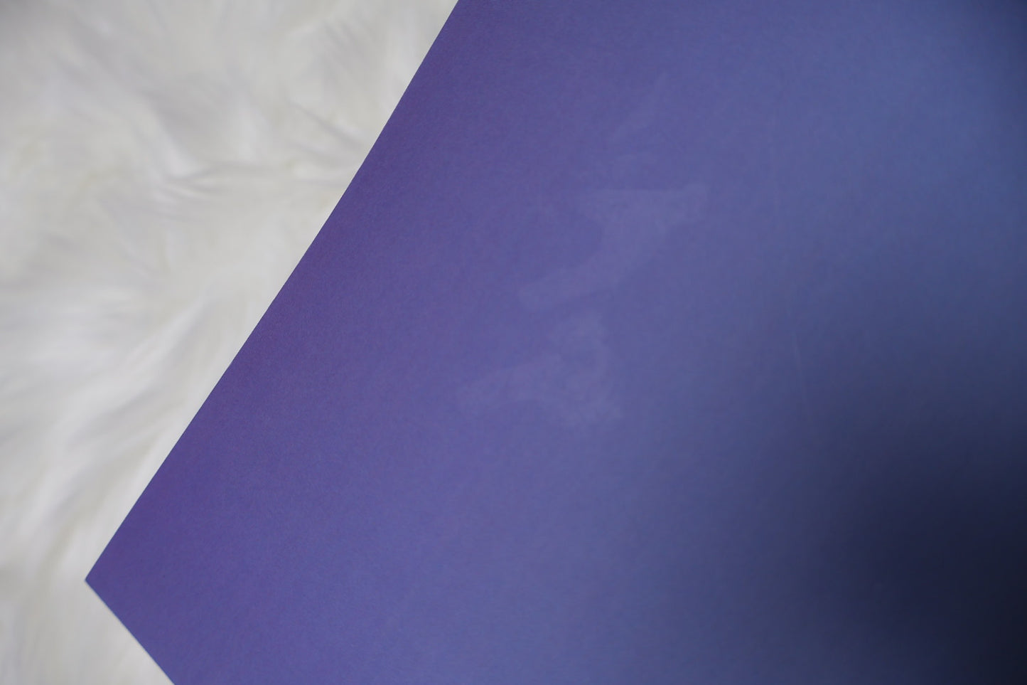 SALE: Quirky Skull Notebook - grid pages (matte covers)