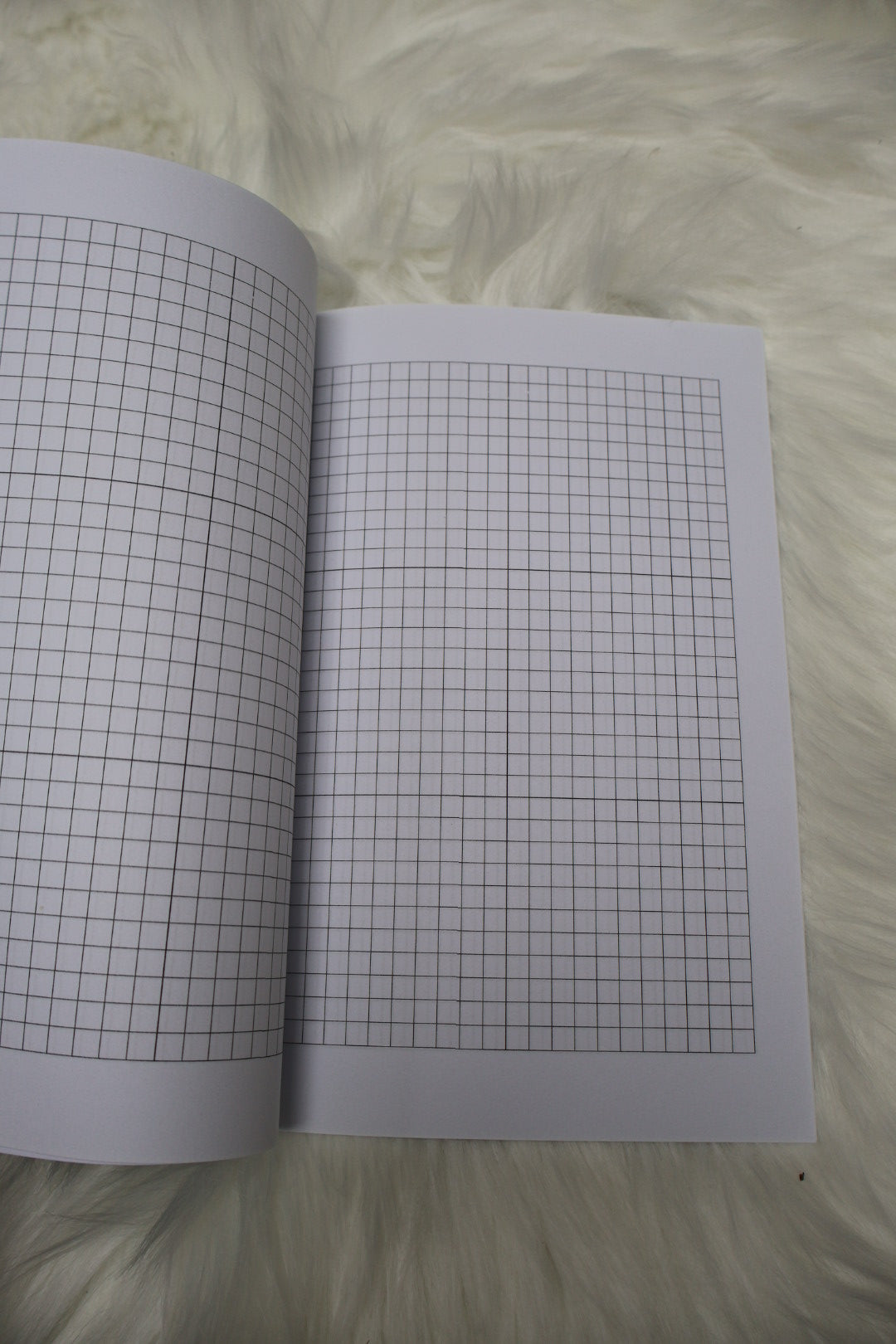 SALE: Quirky Skull Notebook - grid pages (matte covers)